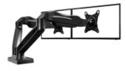 Picture of  North Bayou Monitor Desk Mount – F160